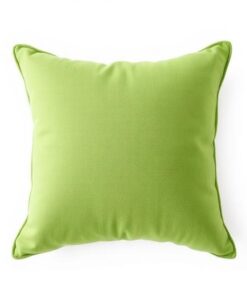 ১টি বালিশ